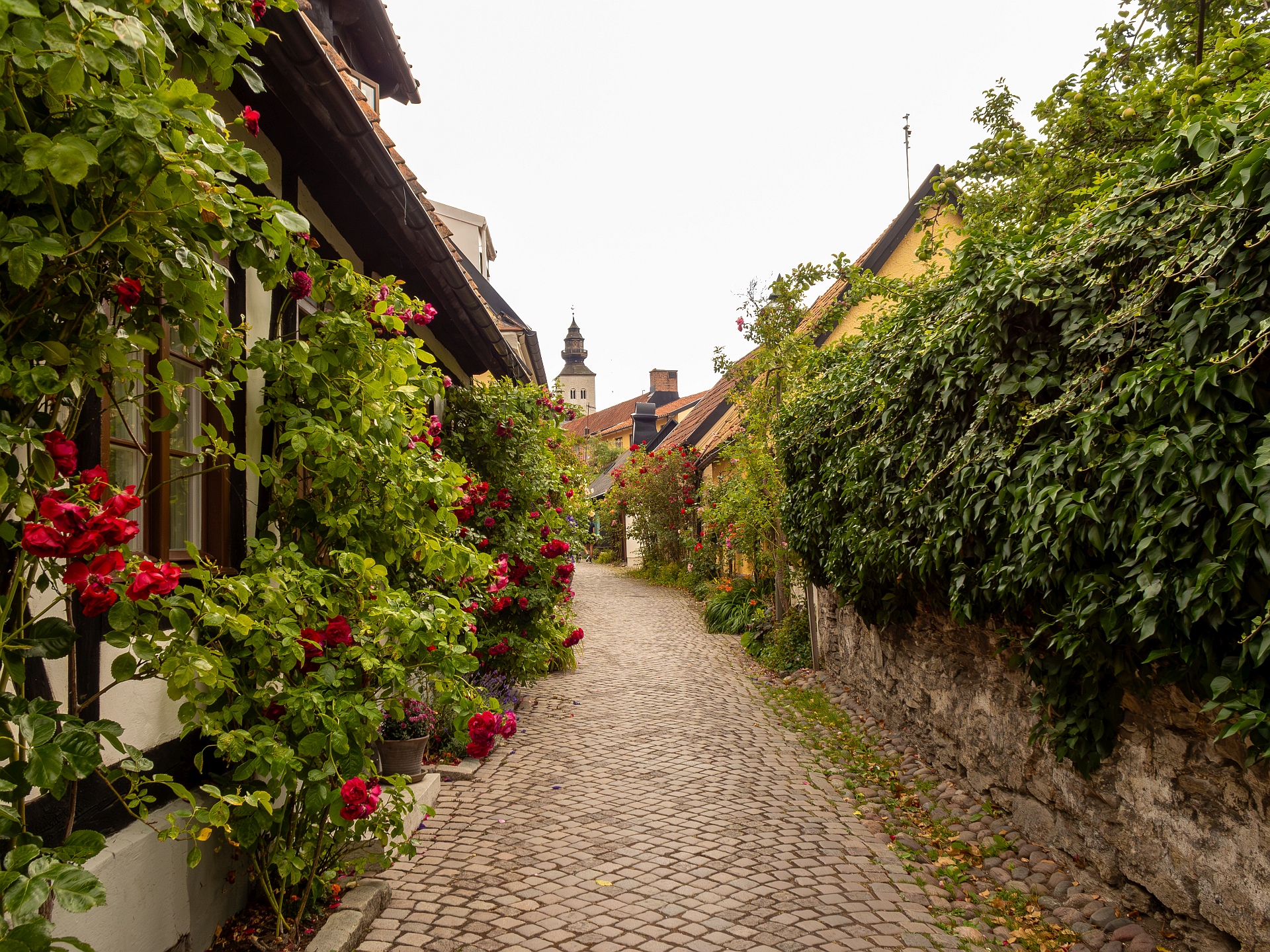 Gotland, Sweden Journey. July 2022